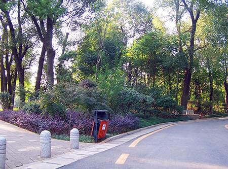 湖公園提質二期一標段建設工程