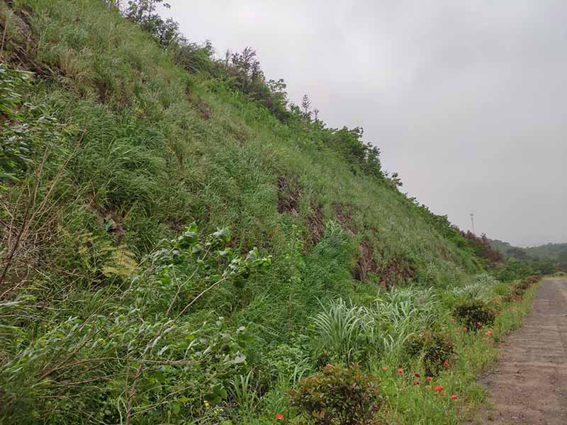 江西彭澤縣馬當鎮子磯頭廢棄礦山生態環境恢複治理工程項目