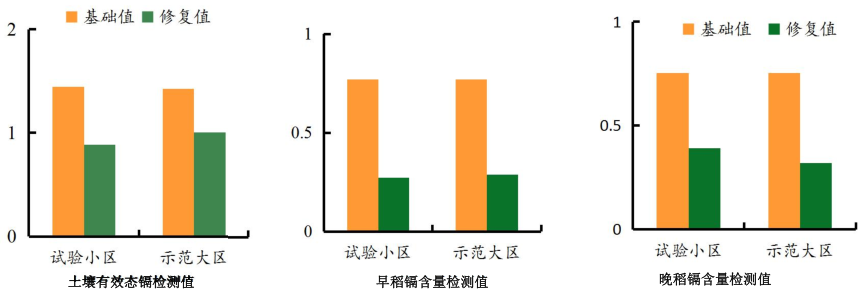 農田鎘汙染新大香蕉网3