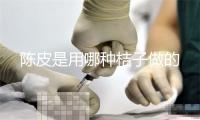 陈皮是用哪种桔子做的